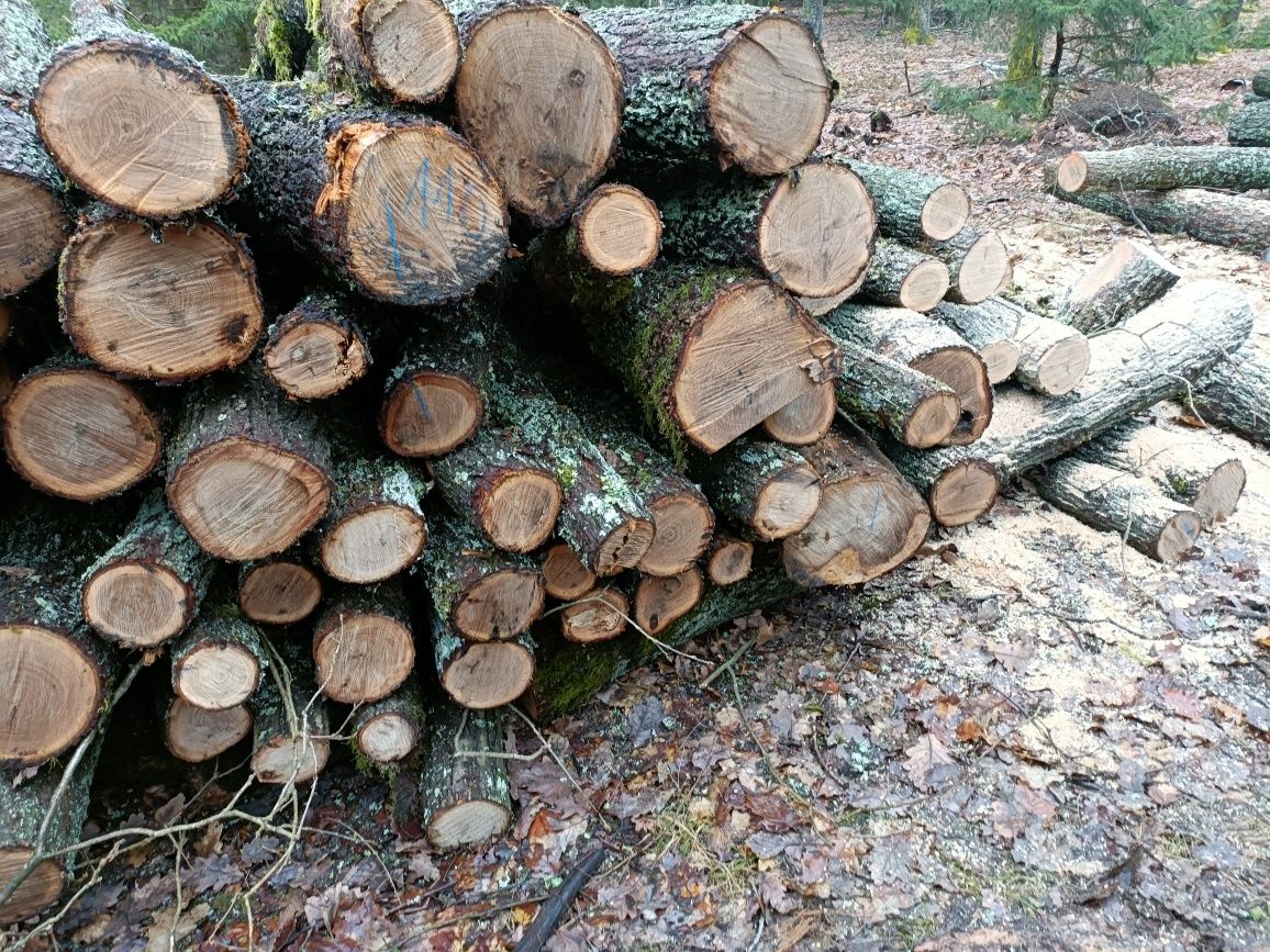 Drzewo opałowe sosnowe oraz kominkowe pocięte polupane suche sezonowan
