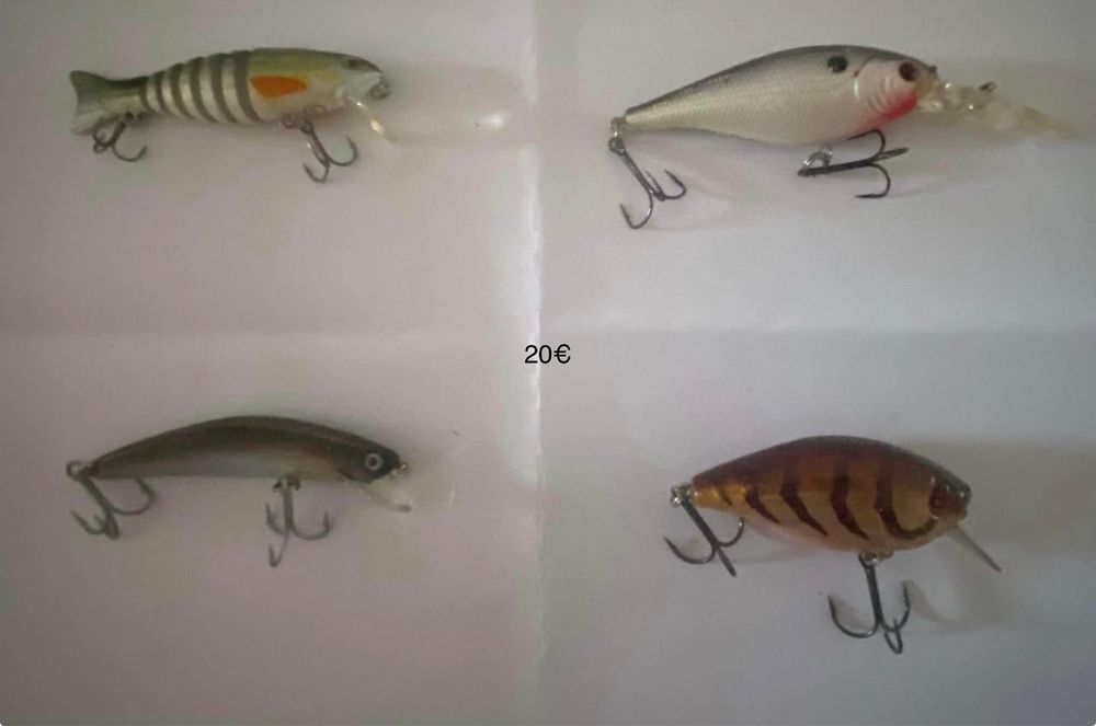 Amostras achiga -black bass