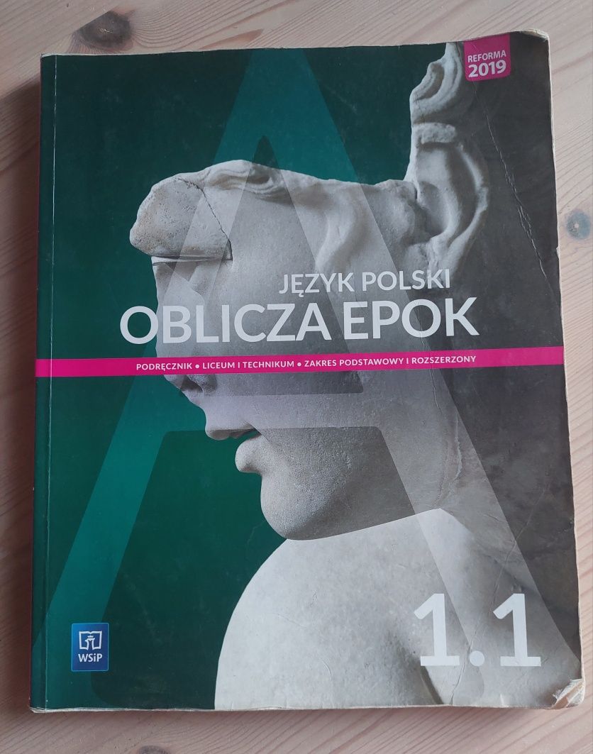 Oblicza epoki 1.1 Nowa Era