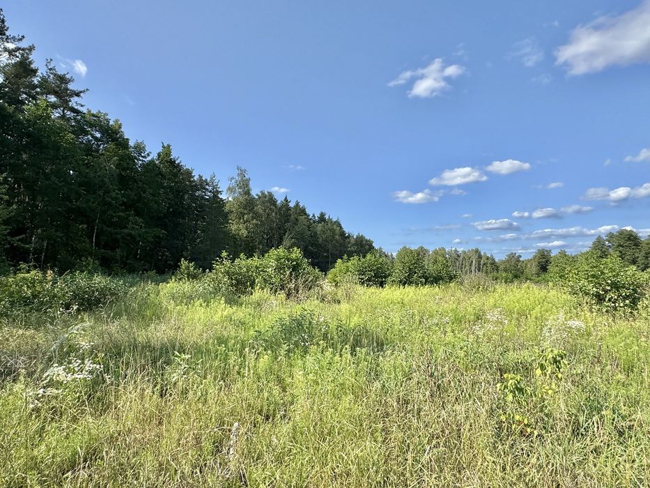 Продам фасадну земельну ділянку 3,3 Га!