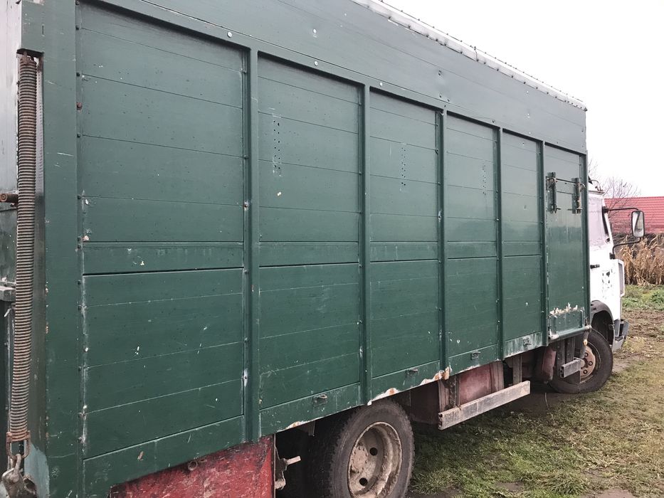 Скотовоз Iveco