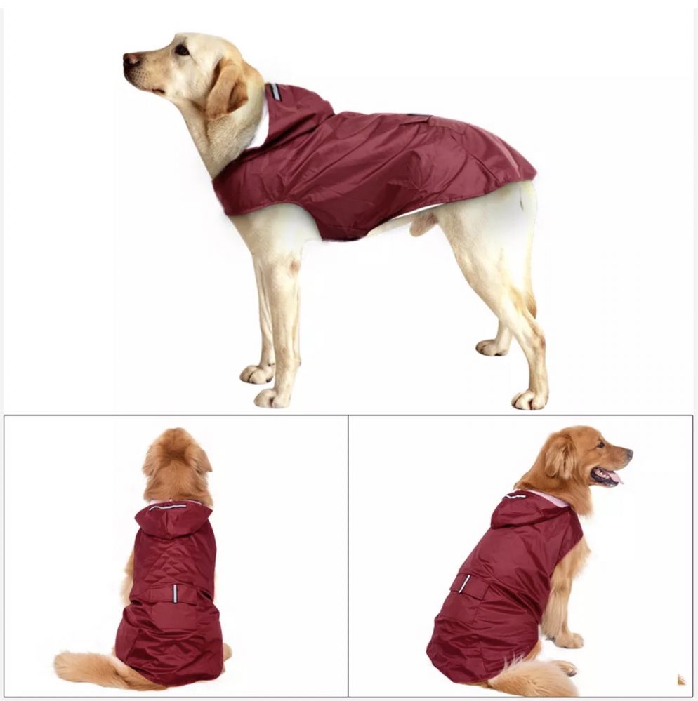 Capas para chuva cão Labrador