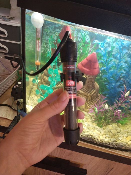 Продам акваріум зі всіма приналежностями