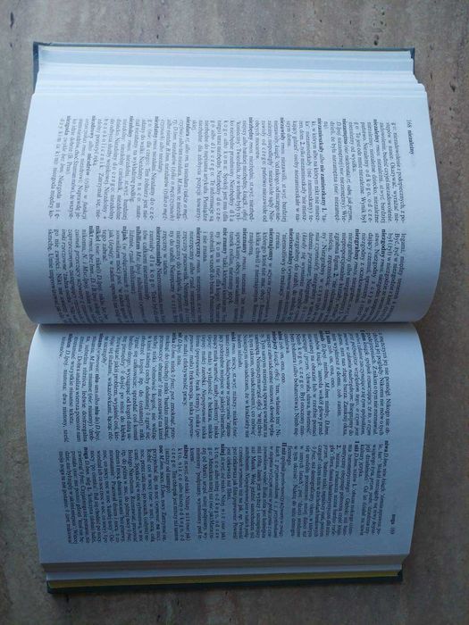 Słownik poprawnej polszczyzny. Практичний словник польської мови.