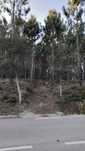 Terreno Urbano 2600m2