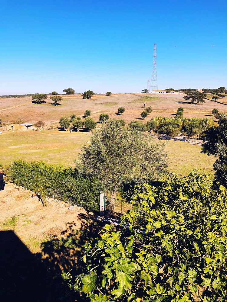 Quinta com 2 Vivendas, 1hectare de terreno, poço+furo de agua etc..