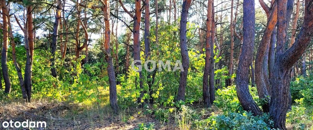 Działka narożna pod dom wolnostojący lub bliźniak