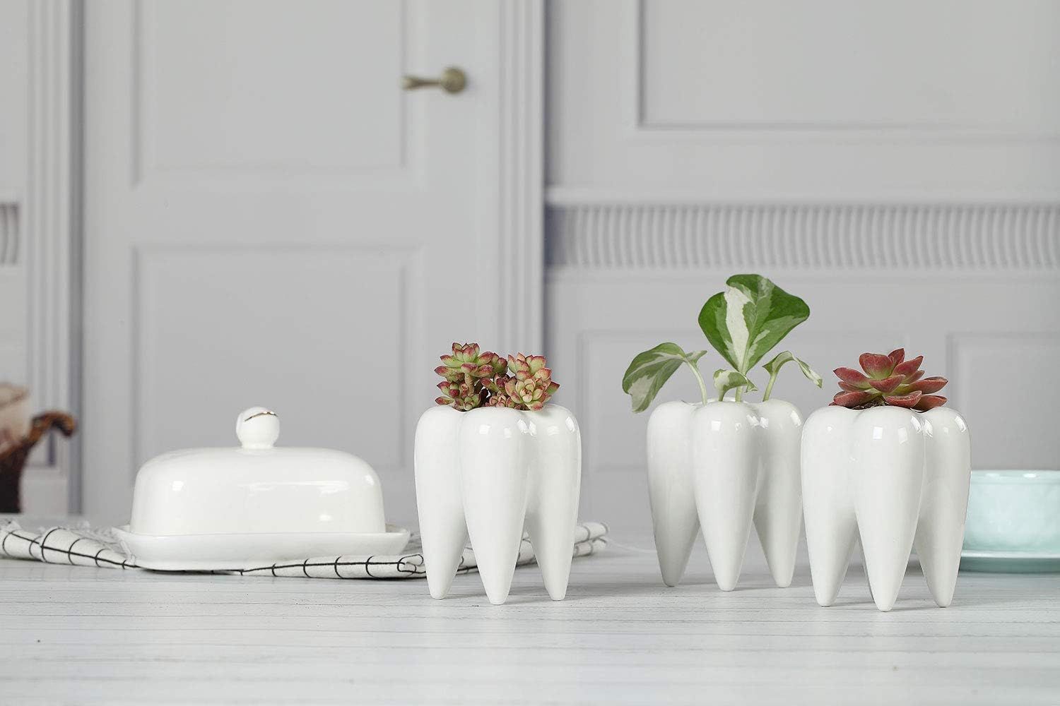 Doniczki na sukulenty ZABAWNE doniczki na kaktusy, ceramiczne
