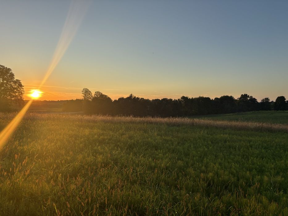 Dzialka z linią brzegową rzeczki