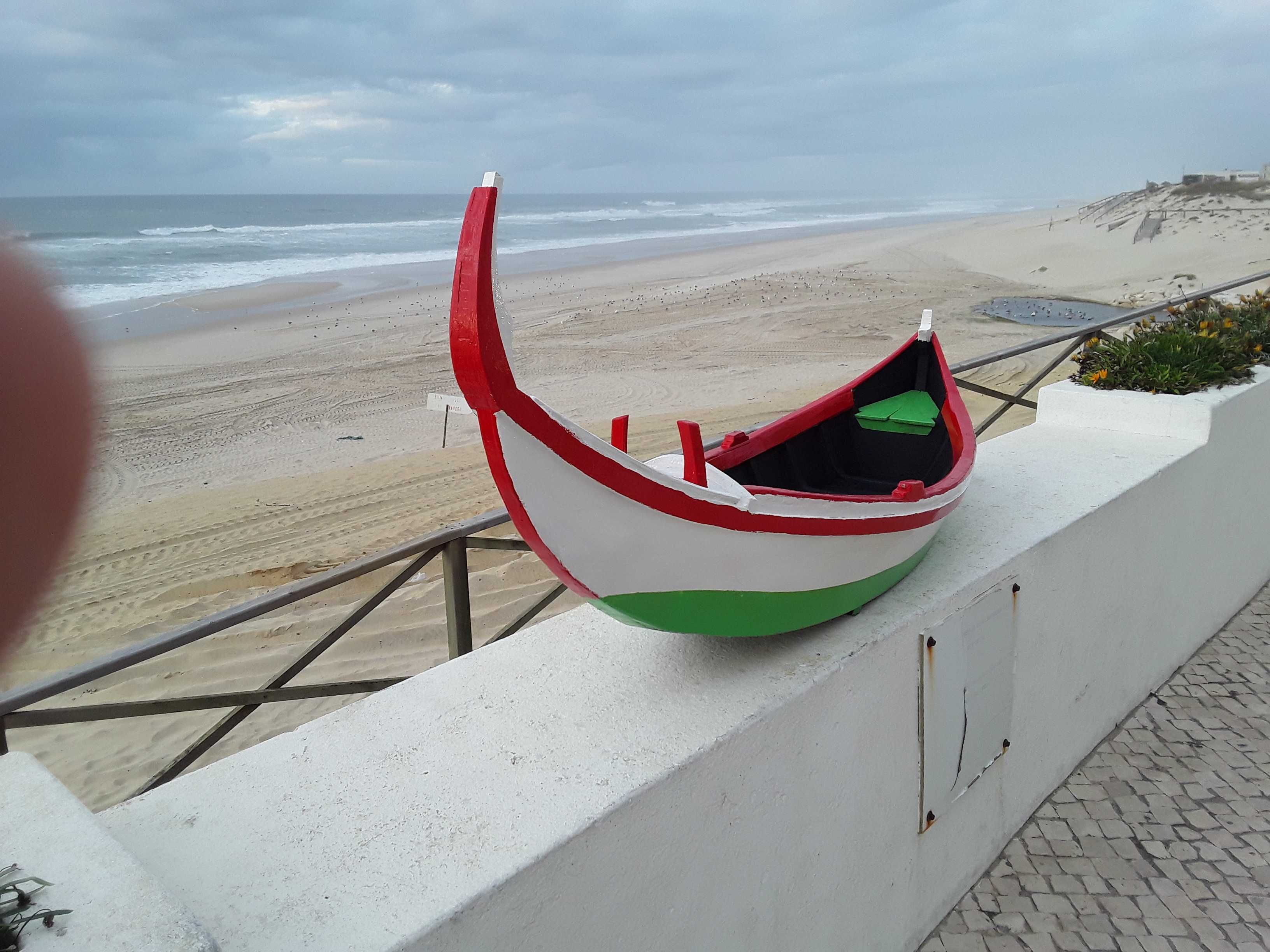 Barco de pesca artesanal ( arte xavega)