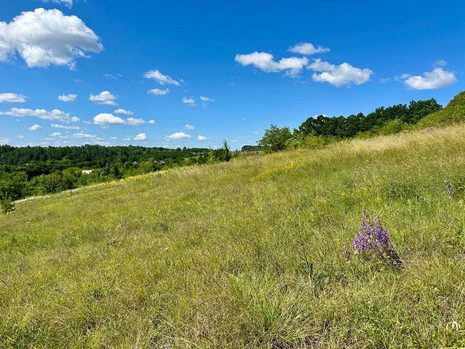 Продаж ділянки під забудову/виноградник Обухівський район В.Дмитровичі