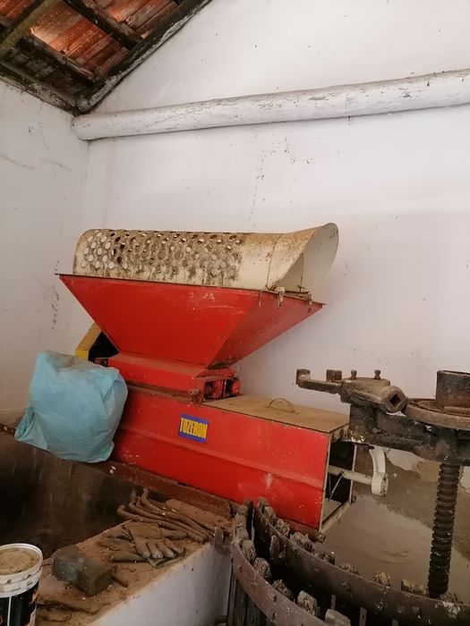 Esmagador desengacador de uva
