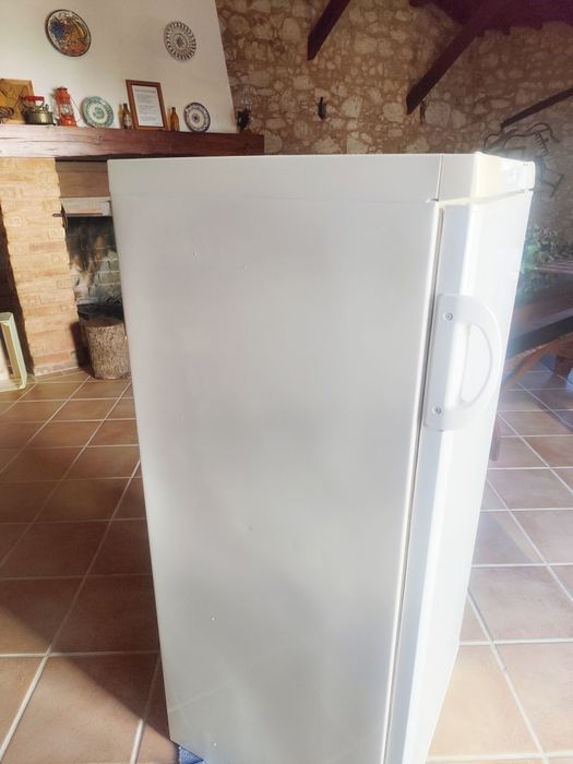 Arca frigorífica vertical