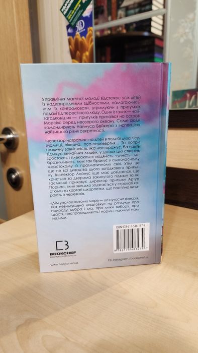 Дім у волошковому морі. Книга