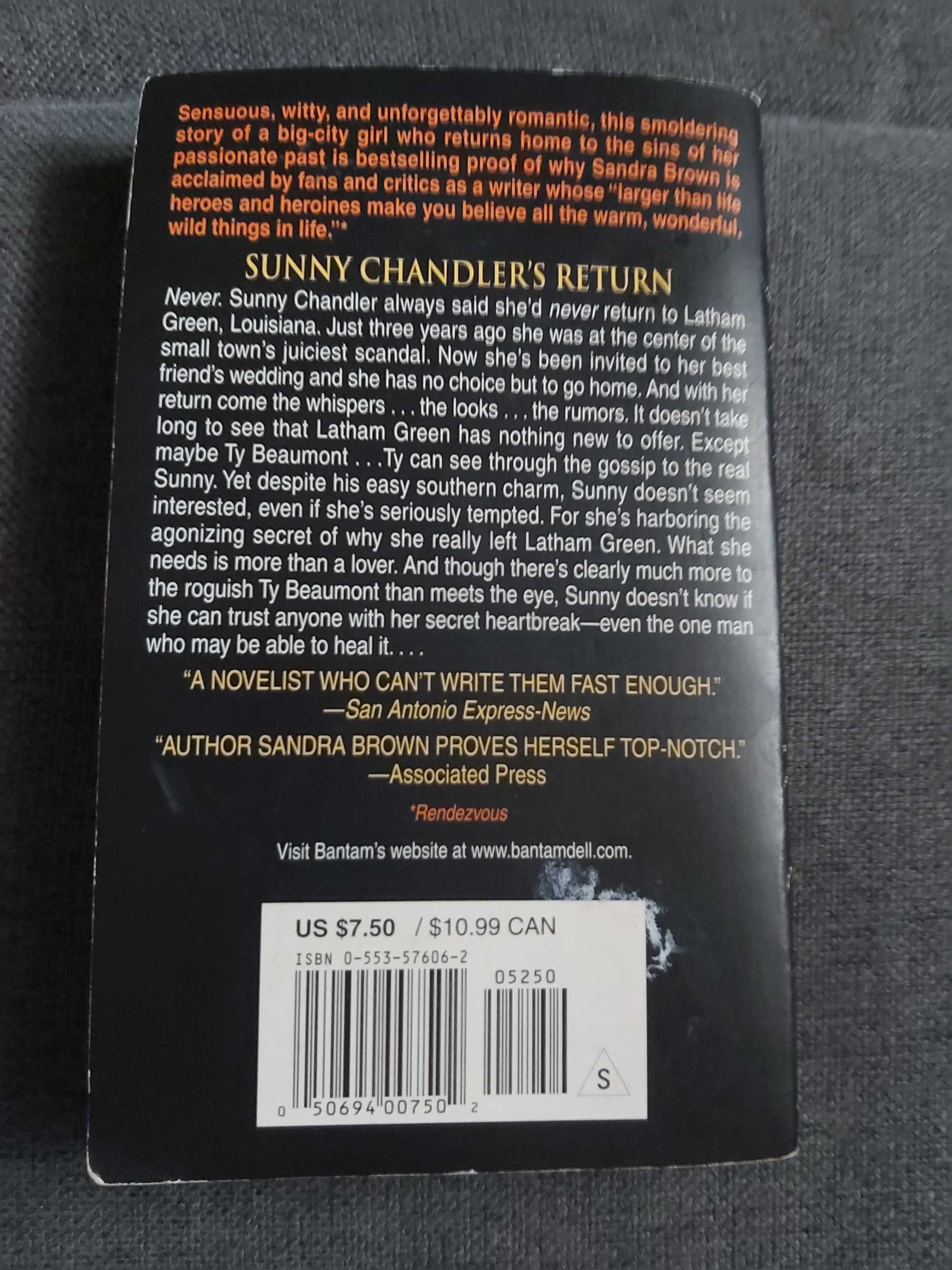 Sunny Chandler's Return - Sandra Brouwn