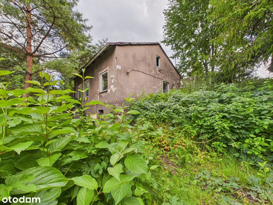Zielona Działka z Własnym Źródłem i Stawem w Świetnej Lokalizacji!