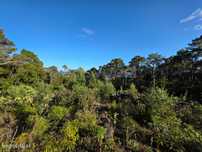 Terreno único com moradia no Mistério da Silveira - Lajes do Pico