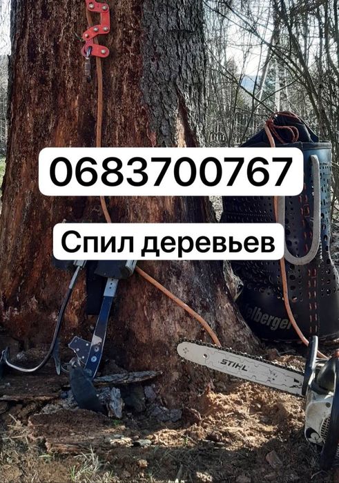 Спил деревьев Харьков и область,обрезка веток,вывоз,кронирование