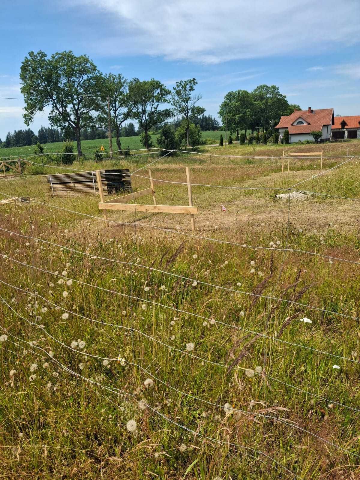 Działka Kalskie Nowiny 72/14 pow. 0,2798ha
