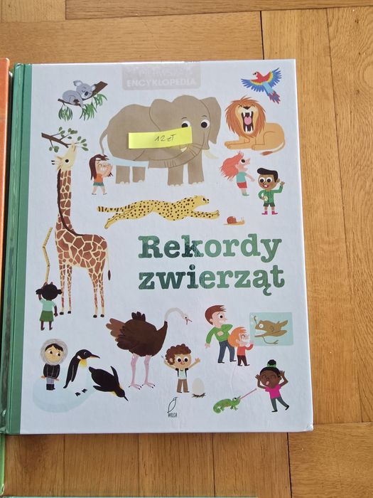 Książki młodzieżowe , Hobbit , baśnie, Biblia i inne