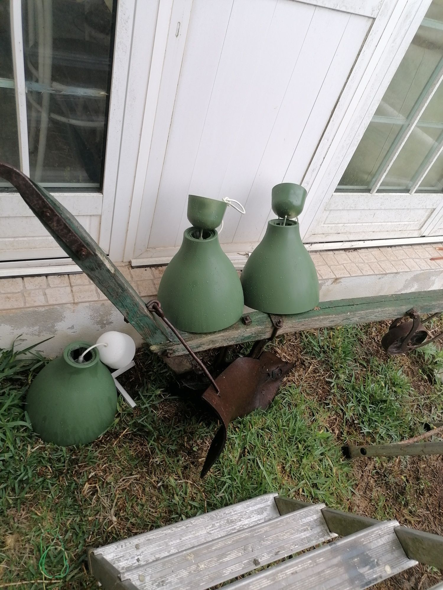 Charrua Para decoração de exteriores