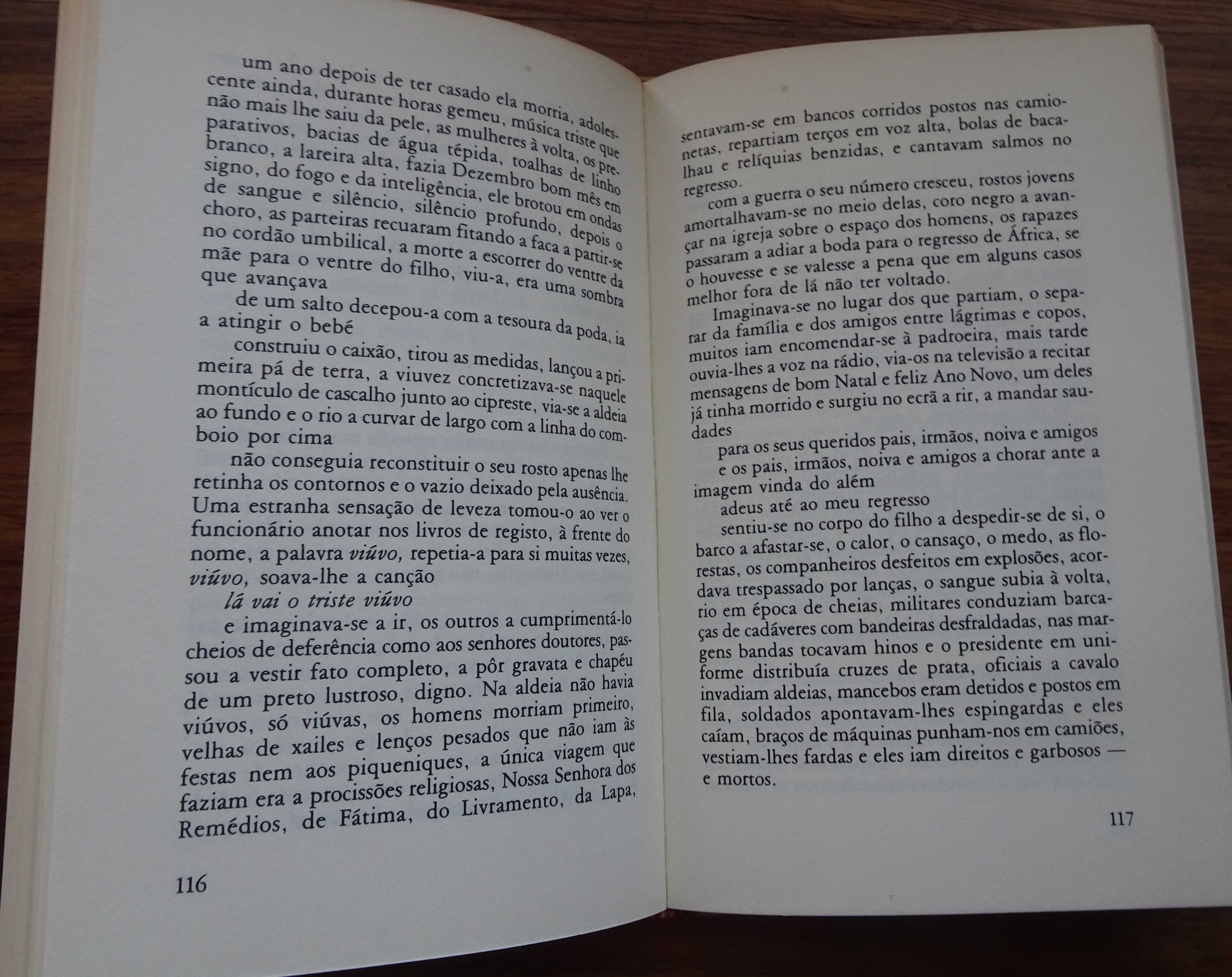 O Viúvo de Fernando Dacosta