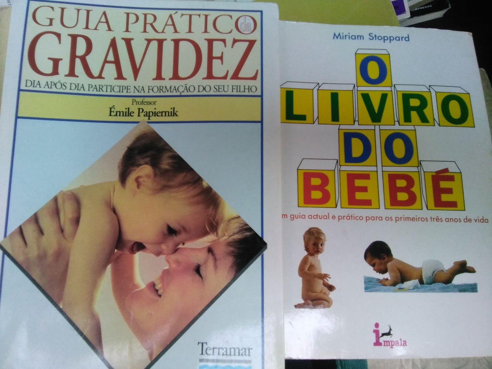 Livros sobre guia prático de gravidez , livro de bebe