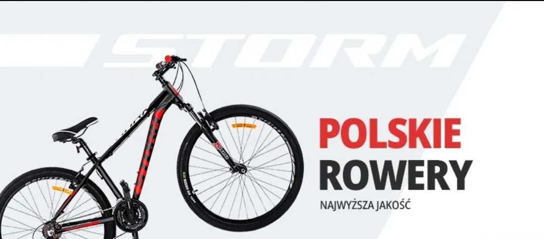 Rower trekkingowy Storm MARATON 1.0 śliwka