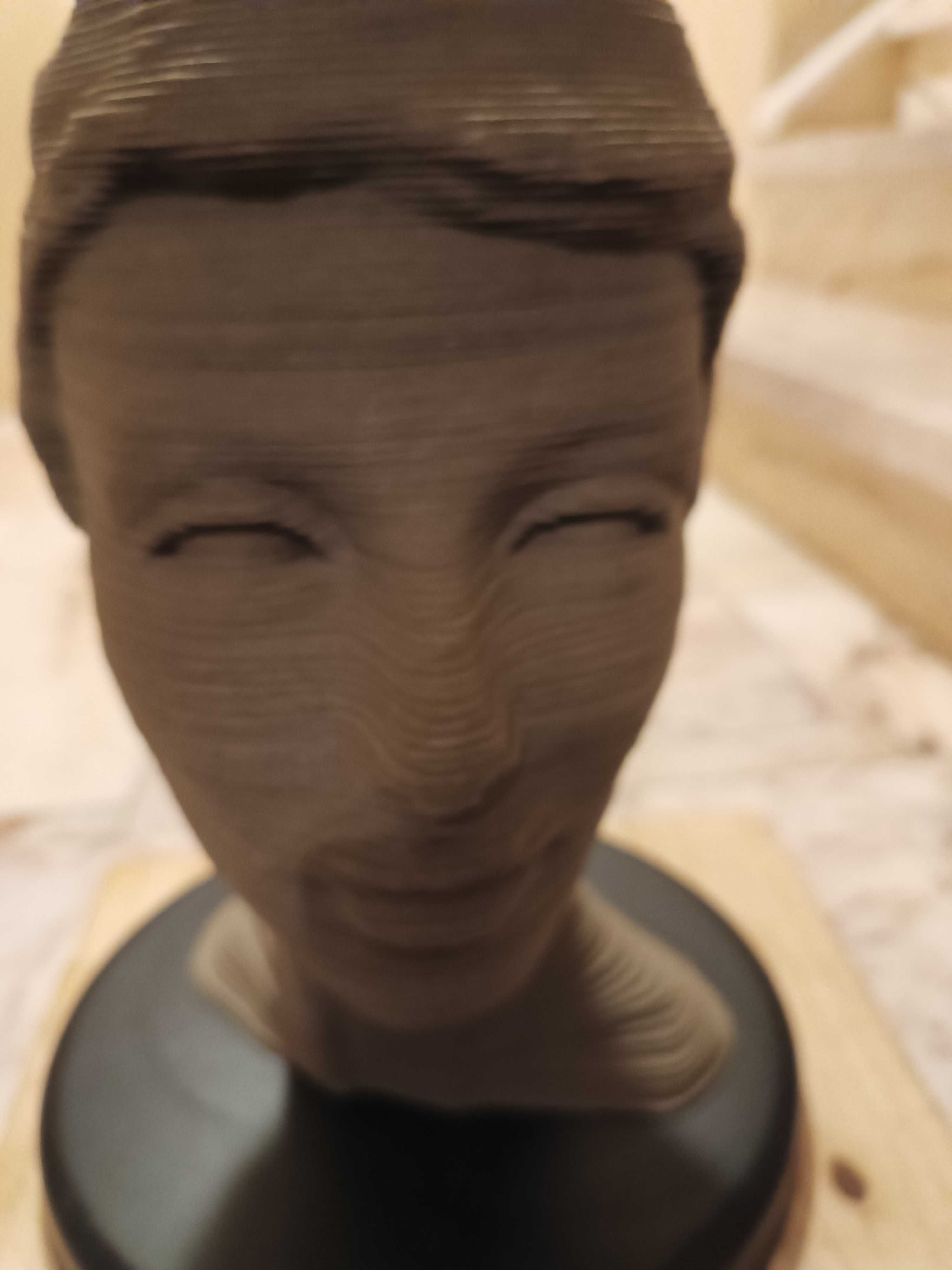 puzzel 3 D cabeça
