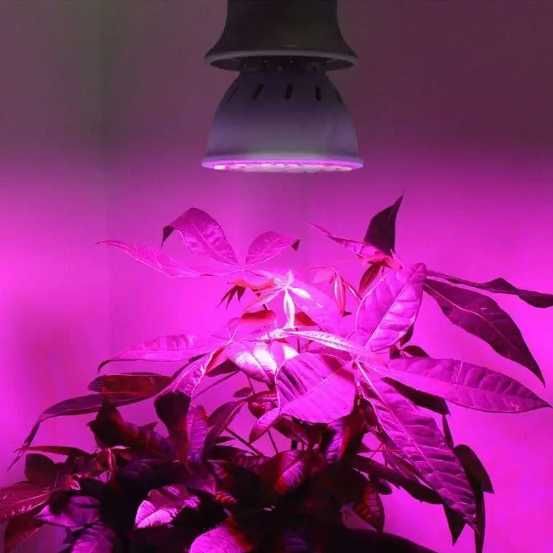 Світлодіодна фитолампа повний спектр 80 LED для вирощування рослин