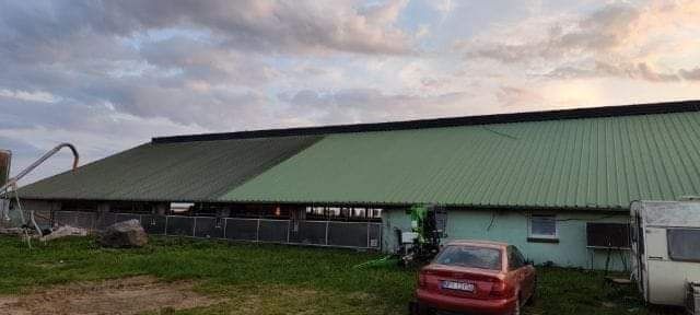Mycie i bielenie obór.  Mycie elewacji i dachów