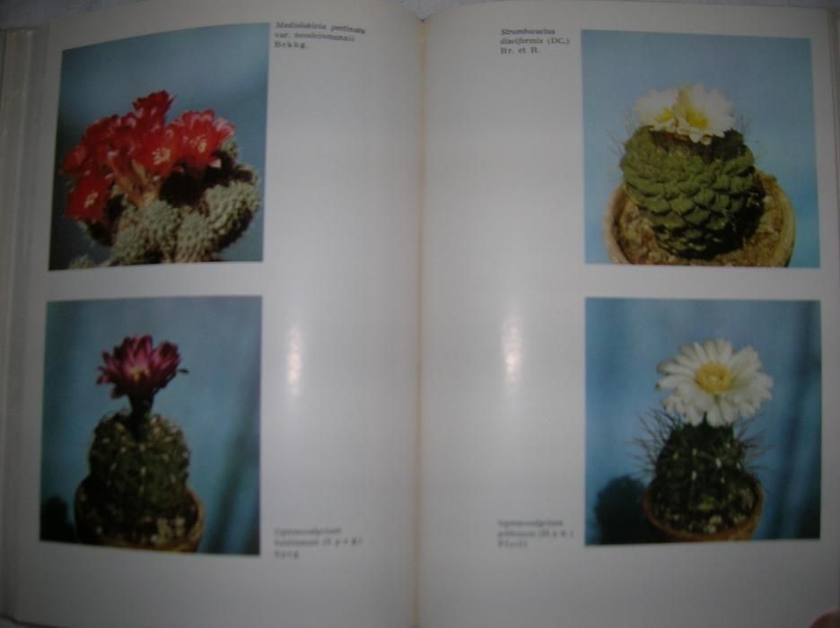 кактусы, кактуси, книга "Колючее чудо", Братислава,336стор.