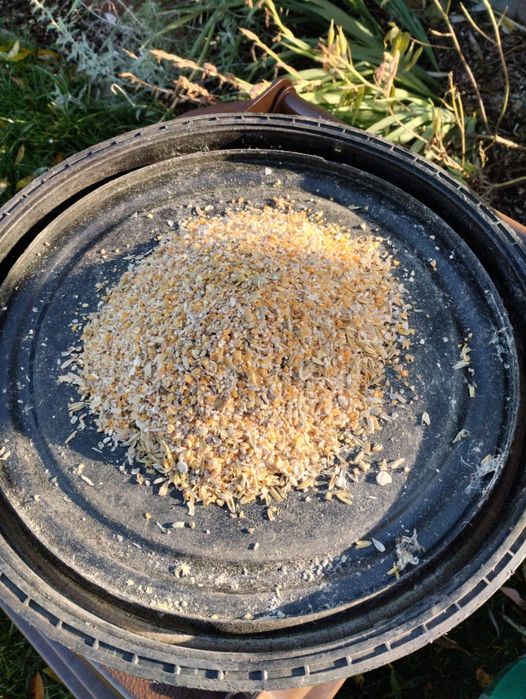 Mieszanka zbożowo ziołowa dla kur, pasza dla kur 25 kg