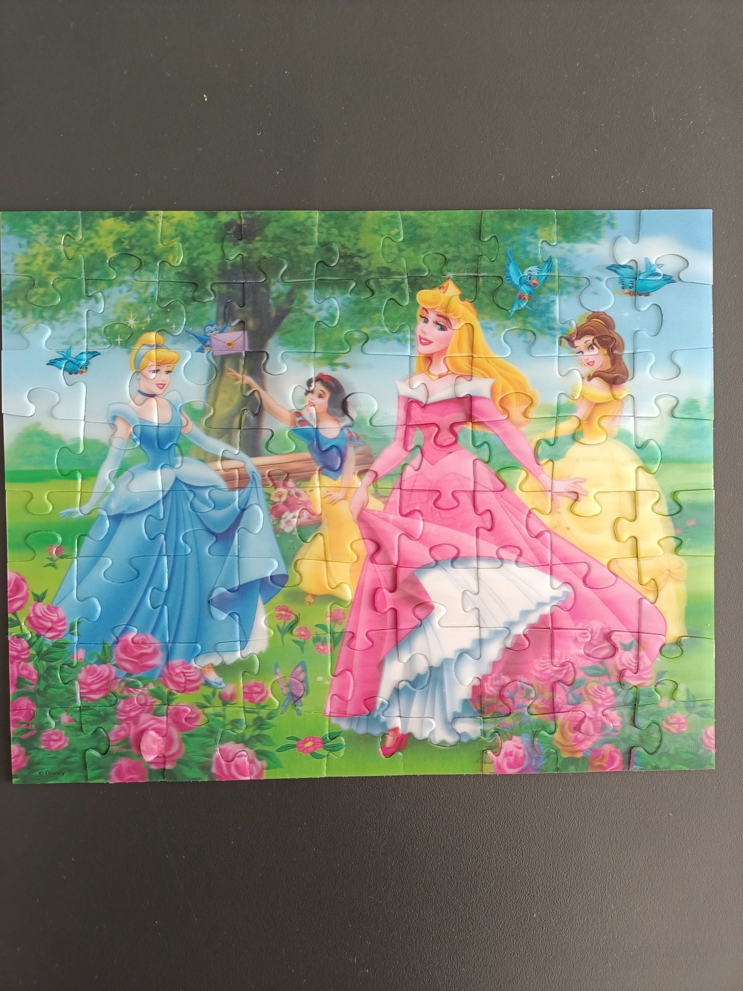 Puzzle księżniczki Disneya 3D