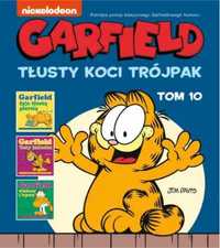 Garfield T.10 Tłusty koci trójpak - Jim Davis, Jim Davis, Piotr W. Ch