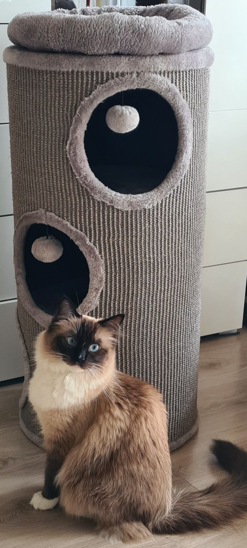 Drapak dla kota tuba