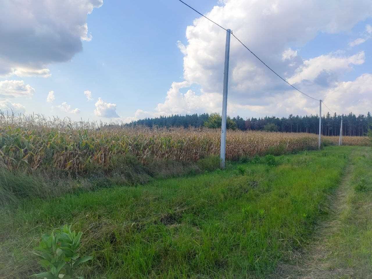 Продається земельна ділянка під будівництво, Дубіївка