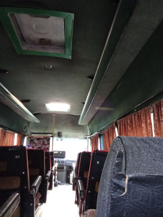 Автобусы iveco daily