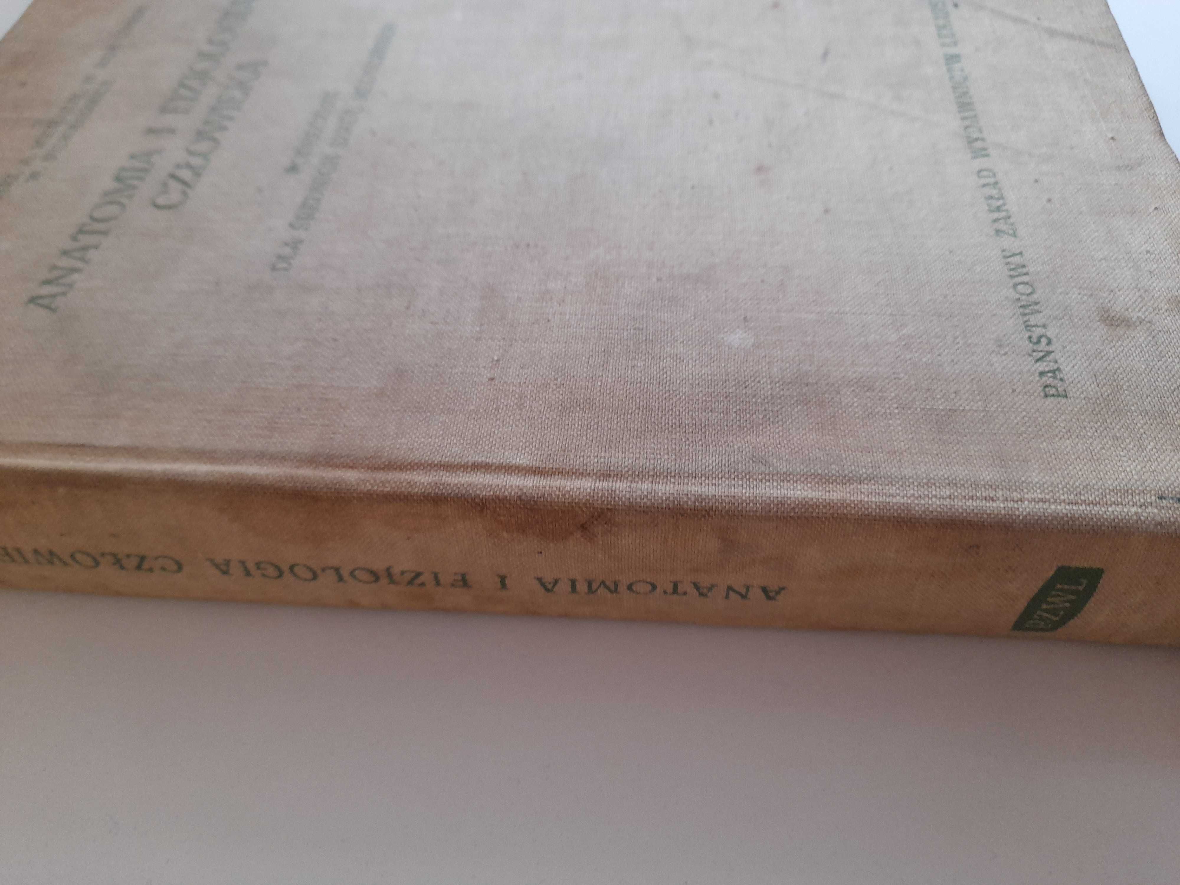 Anatomia i Fizjologia Człowieka Michajlik Ramotowski