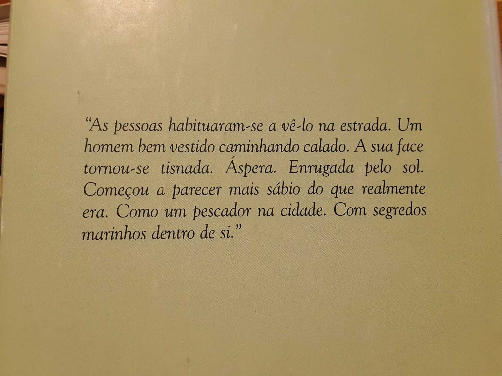 Arundhati Roy - O Deus das Pequenas Coisas