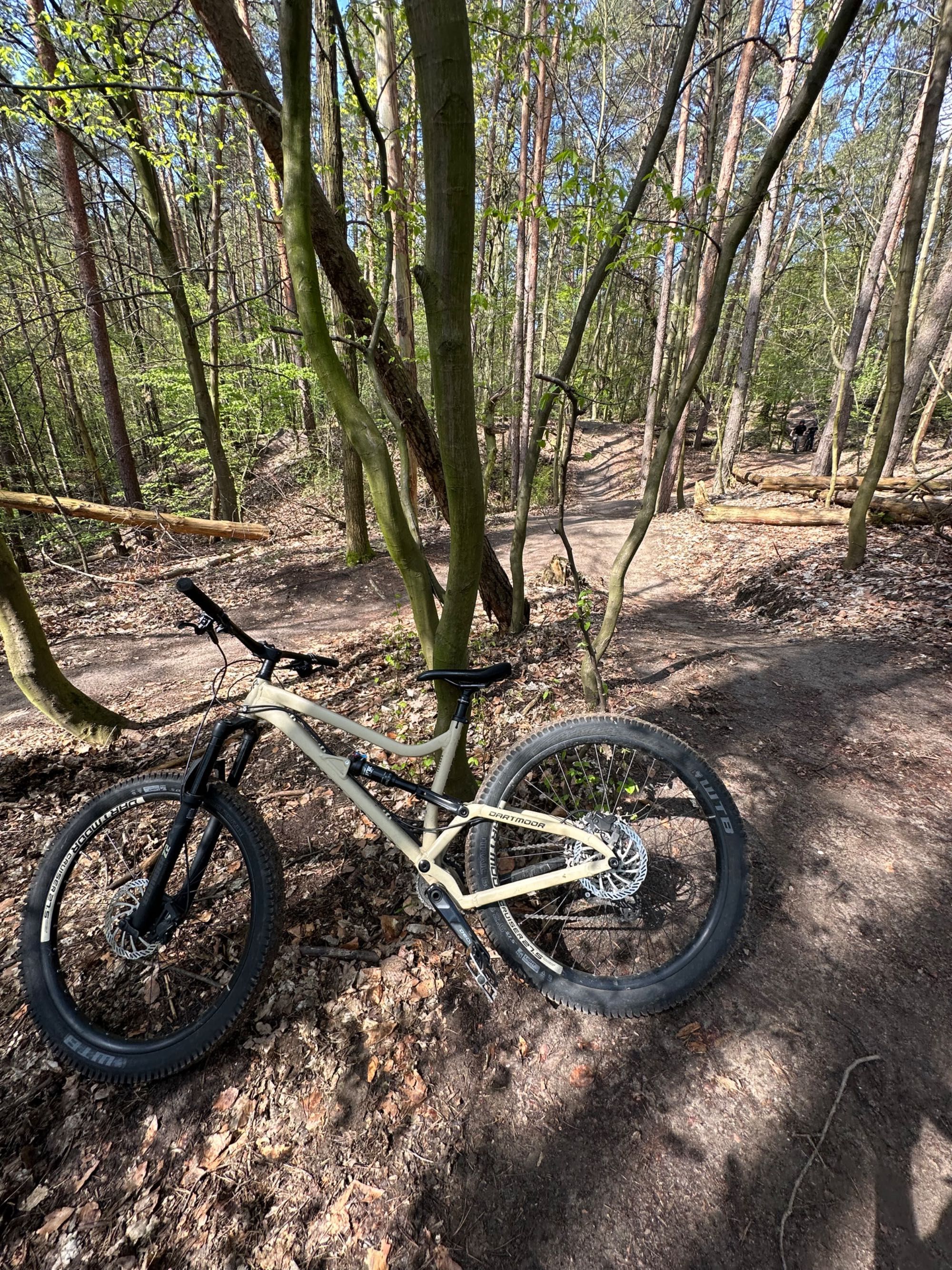 Dartmoor Bluebird Pro 27.5 M