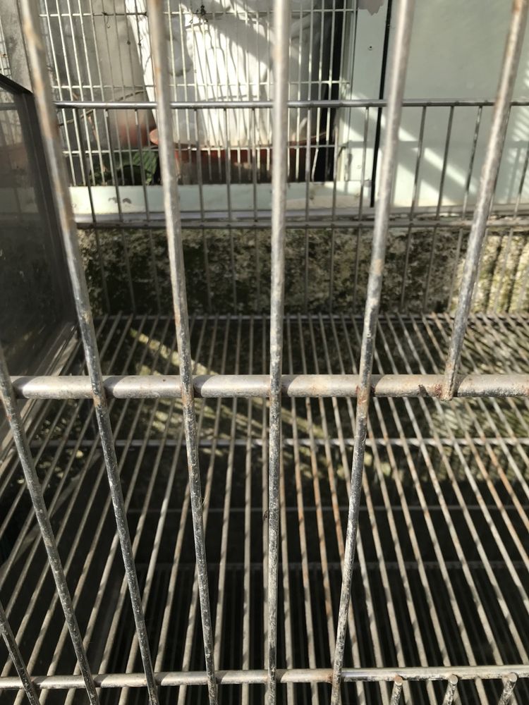 Coelheira vertical com 3 divisorias