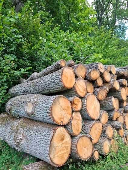 Drewno drzewo kominkowe opałowe wałki grab buk dąb brzoza olcha
