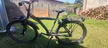 Rower Batavus Snake 24