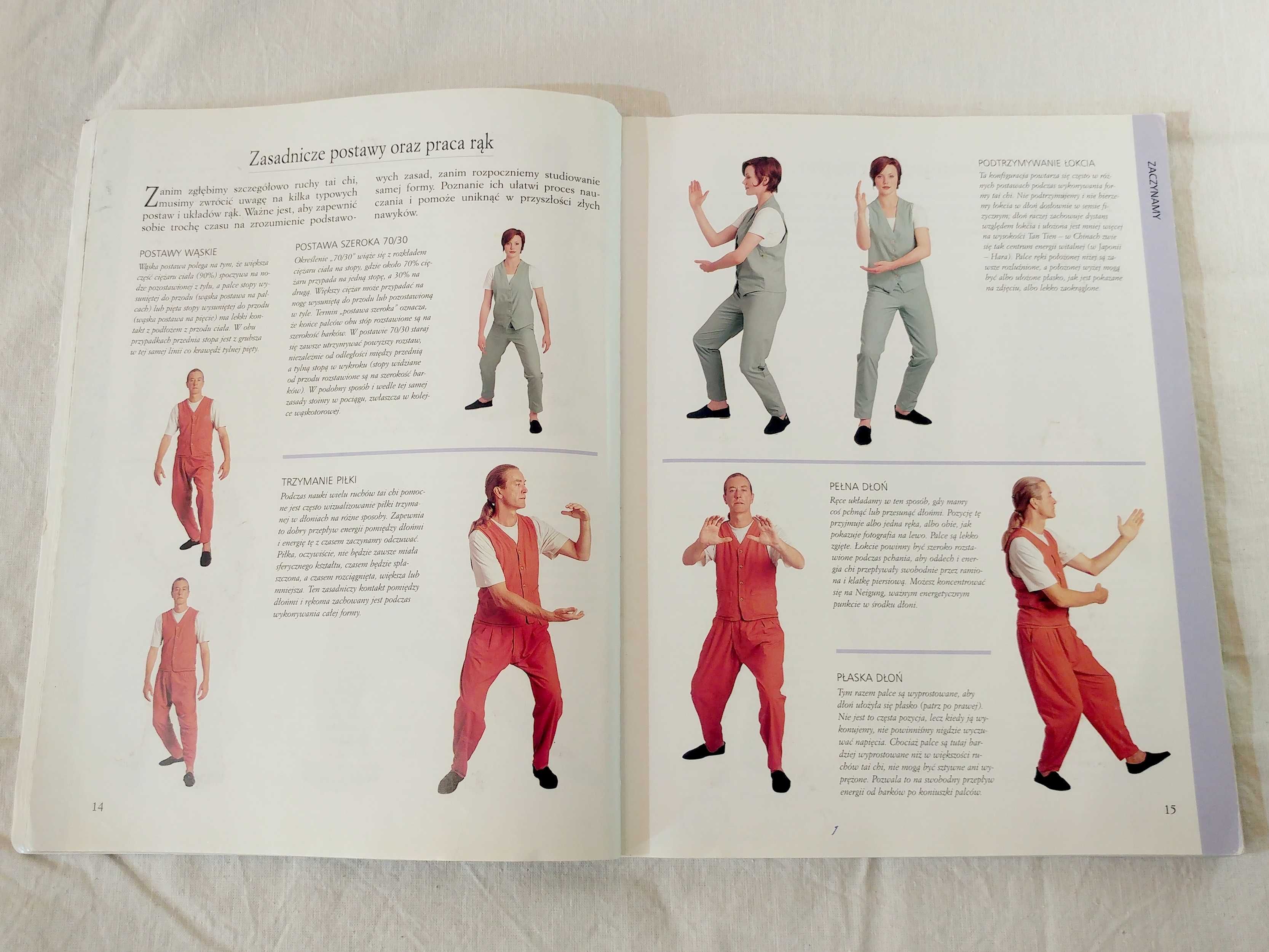 Tai Chi krok po kroku - Robert Parry