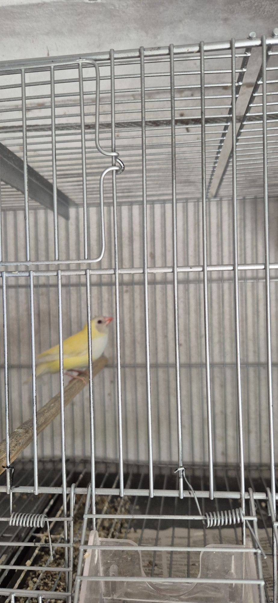 Lote de 10 diamantes  gould