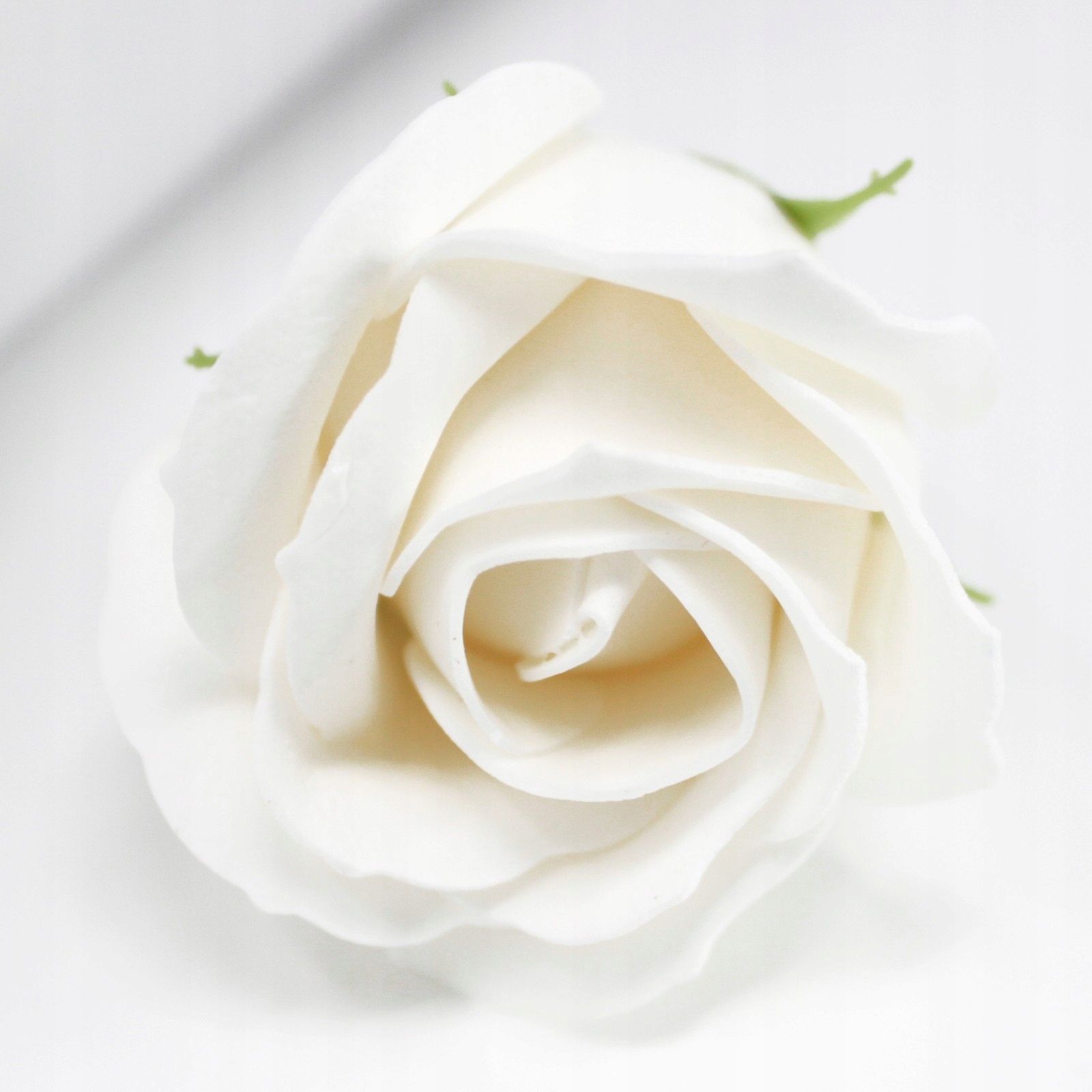 Róże mydlane białe 50szt