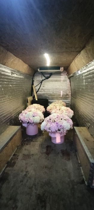 Бус Таксі Дешево. Мувінг,Вантажні перевезення,доставка товару,буд