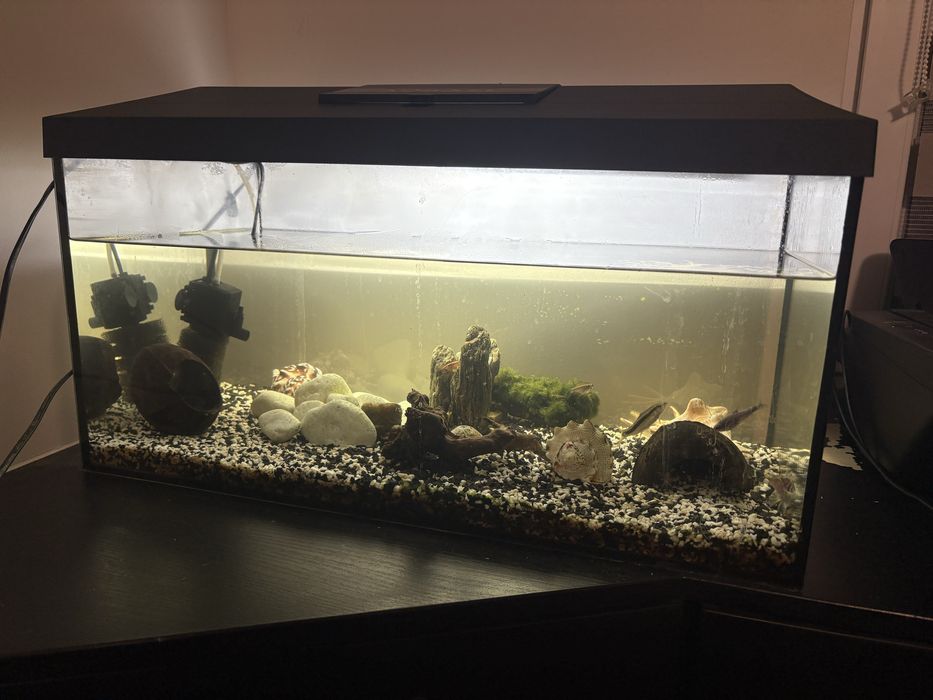 Akwarium 55L 60x30x30 z filtrami i rybami