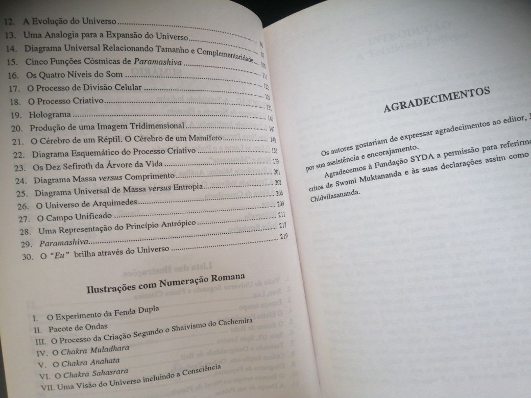 Consciência e Cosmos de Mena Kafatos e Thalia Kafatou